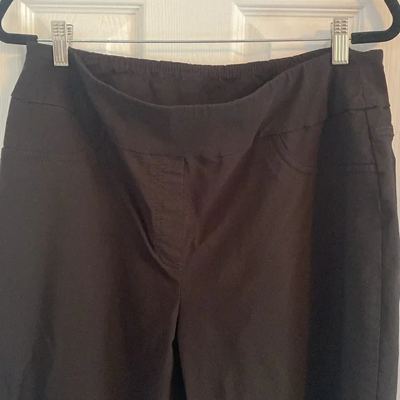 Ruby Rd. Pull-on Pants-size 16 - Picture 6 of 7